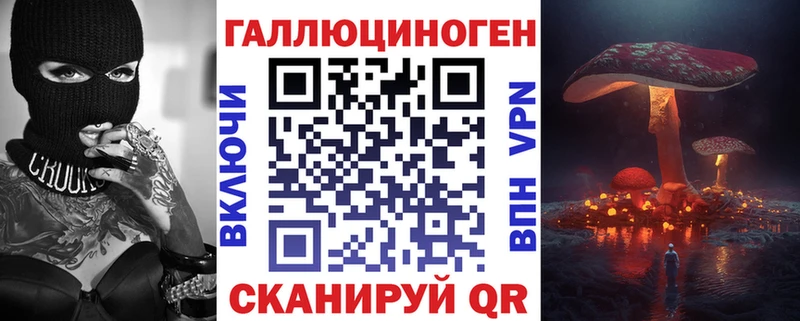 где продают   Кировград  Псилоцибиновые грибы MAGIC MUSHROOMS 